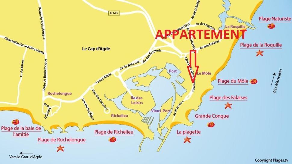 Cap D'Agde 300M Plage Du Mole,Vue Port,Parking,Lave Linge,Piscine Lejlighed Eksteriør billede
